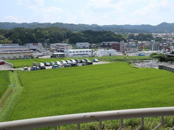 南生駒駅 徒歩6分 3階の物件内観写真